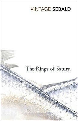 In the Rings of Saturn