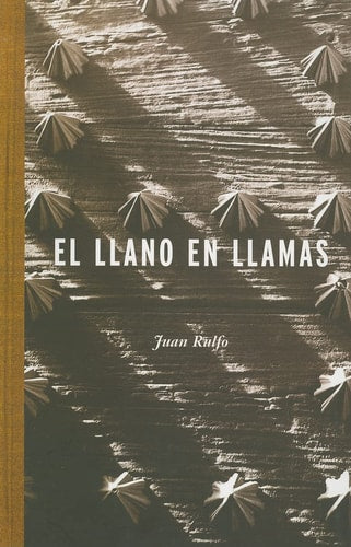Llano en Llamas