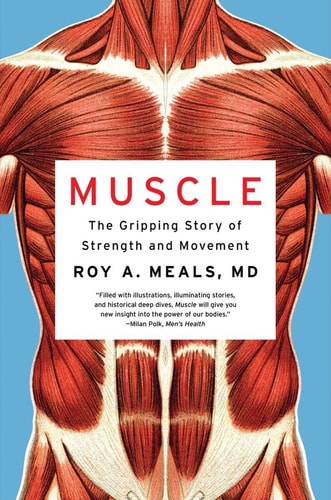Muscle