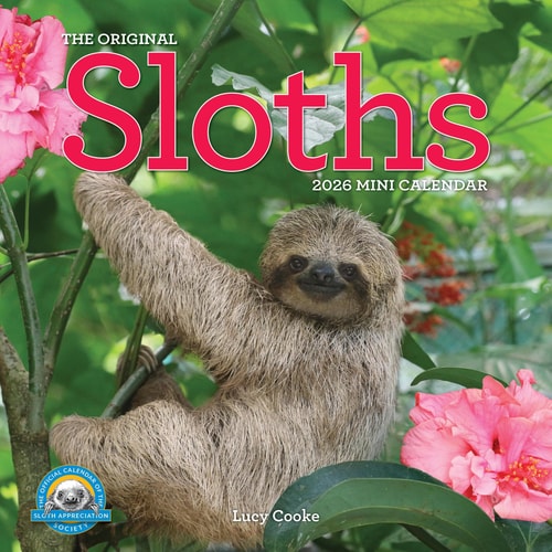 Original Sloths Mini Wall Calendar 2026: Celebrate Life in the Slow Lane