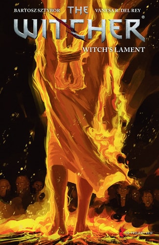 The Witcher Vol 6