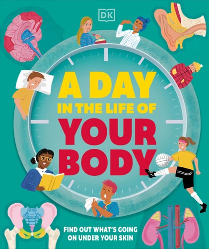 A Day in the Life of Your Body Find Out What's Going on Under Your Skin