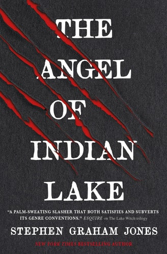 The Angel of Indian Lake (3) (The Indian Lake Trilogy)