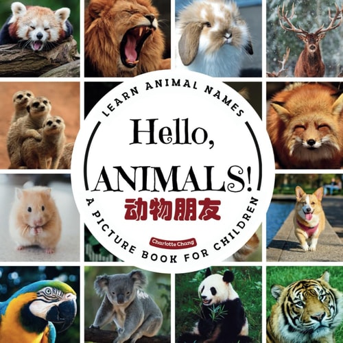 Hello Animals