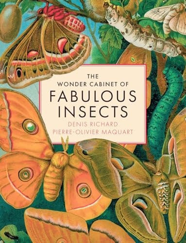 The Wonder Cabinet of Fabulous Insects...