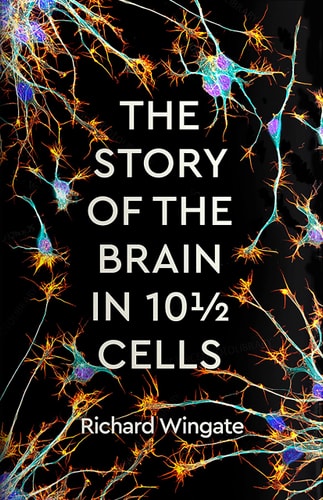The Best Of Karen's Riddles For Adults: 2 Manuscripts In A Book Compilation To Workout The Brain Cells Using Logic Thinking
