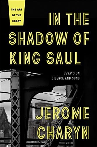 In the Shadow of King Saul Essays on Silence and Song