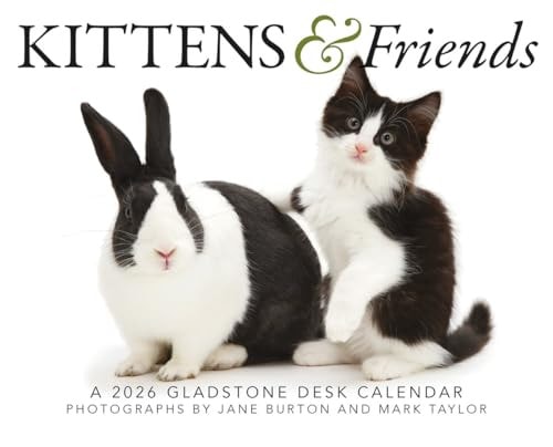 Kittens & Friends: Boxed