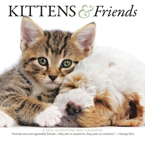 Kittens & Friends: 7x7 Mini