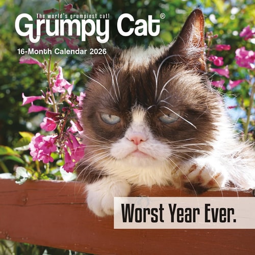 Grumpy Cat: 7x7 Mini
