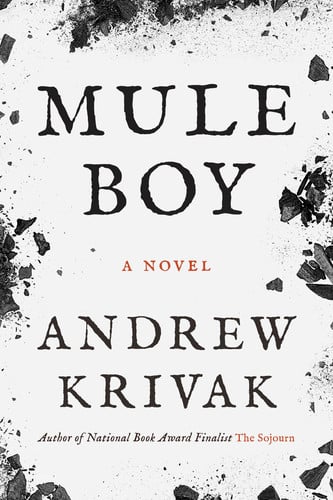 Mule Boy