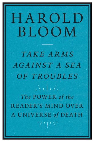 Take Arms Against a Sea of Troubles...