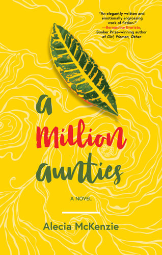 A Million Aunties A Novel
