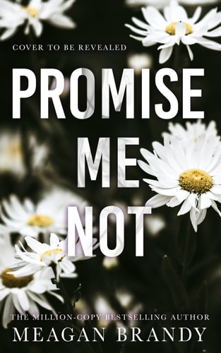 Promise Me Not (Boys of Avix, 2)