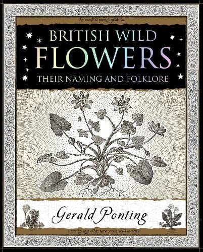 British Wild Flowers