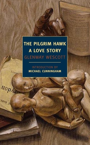 Pilgrim Hawk
