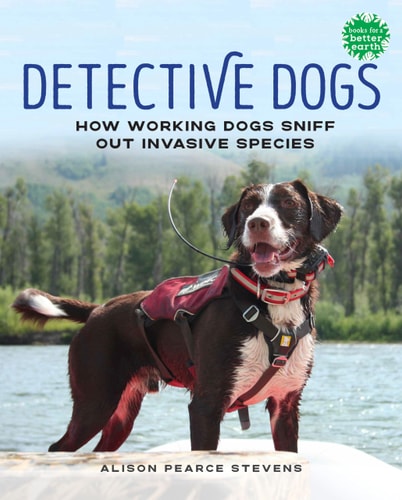 Detective Dogs How Working Dogs Sniff Out Invasive Species