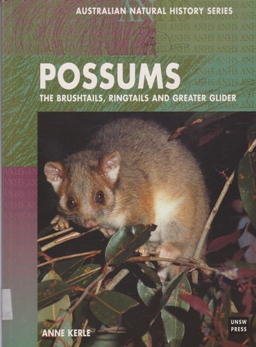 Possums of Australia