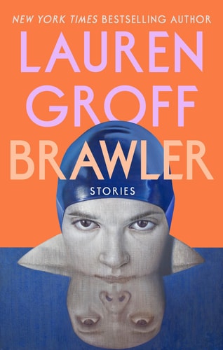 Brawler Stories