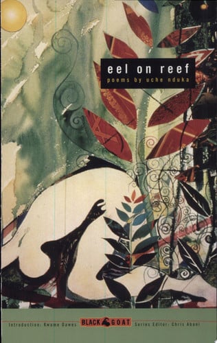 eel on reef