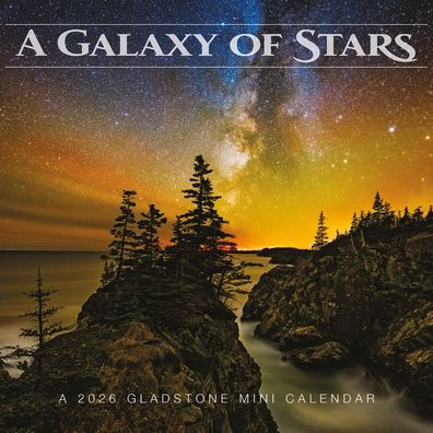 2026 Galaxy of Stars Wall Calendar