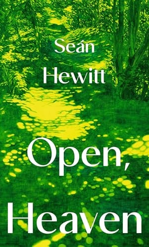 Open, Heaven: A Novel