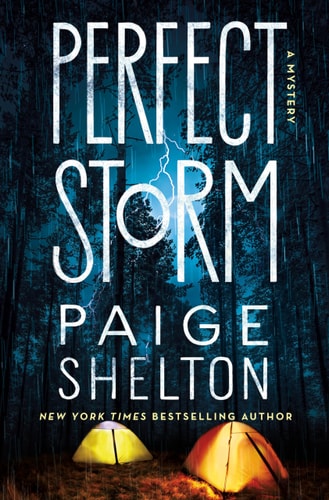 Perfect Storm: A Mystery (Alaska Wild, 6)