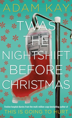 Twas The Nightshift Before Christmas (Chinese Edition)
