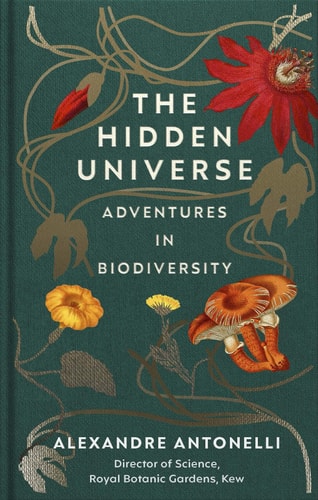 Her Space, Her Time: How Trailblazing Women Scientists Decoded the Hidden Universe