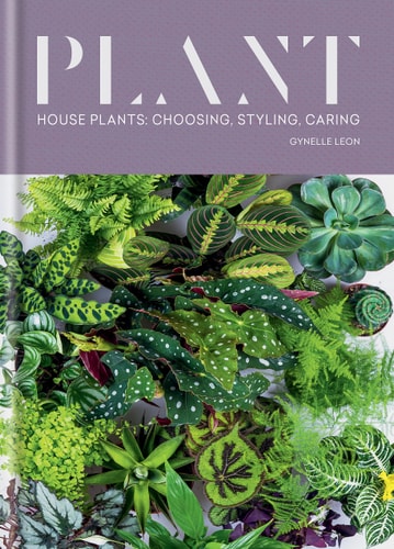 Plant: House plants: choosing, styling, caring