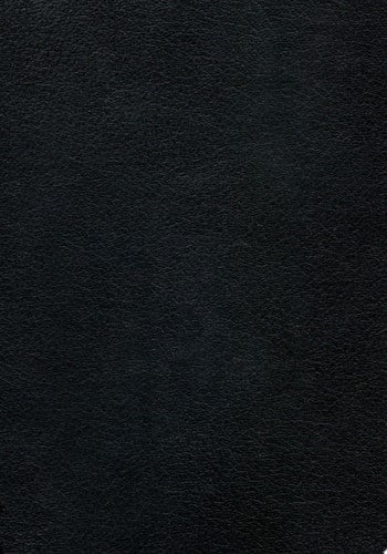 Berserk Deluxe Volume 2