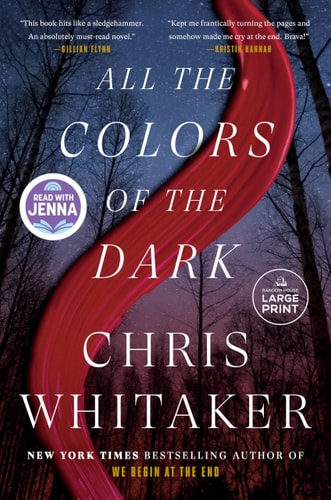 All the Colors of the Dark (large print)