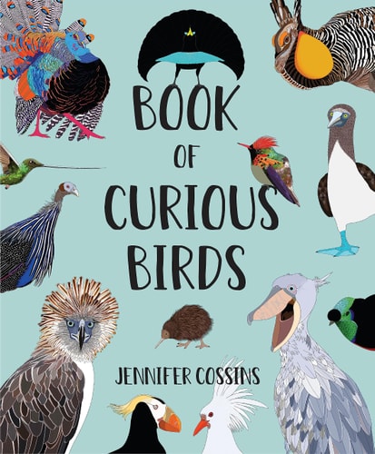 Book of Curious Birds