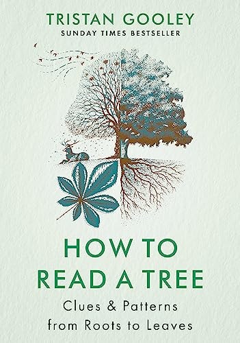 How to Read a Tree: Clues and Patterns from Bark to Leaves (Natural Navigation)