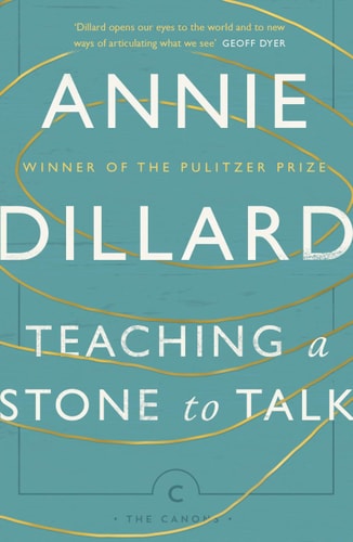 Teaching a Stone to Talk: Expeditions and Encounters