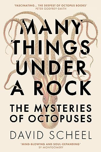 Many Things Under a Rock: The Mysteries of Octopuses
