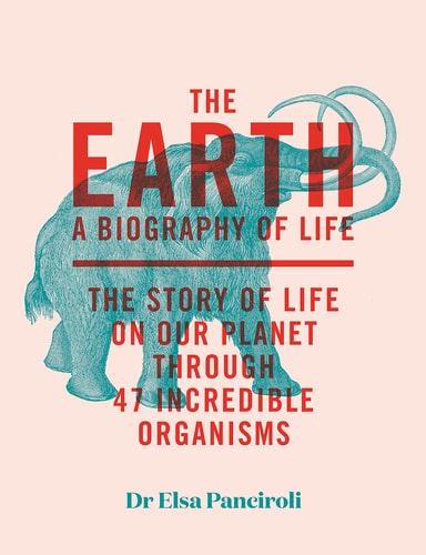 The Earth