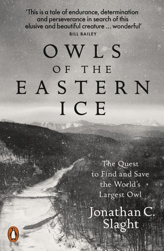 Snowy Owls: Hunters of the Snow and Ice (Animals of the Snow and Ice)