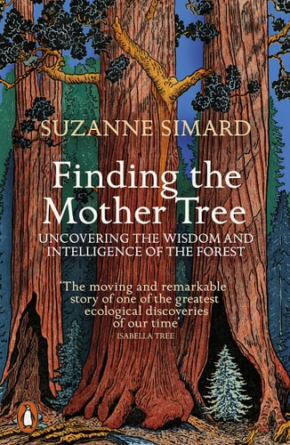 Finding the Mother Tree: Discovering the Wisdom of the Forest