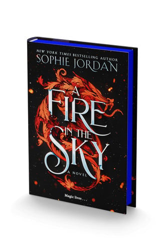 A Fire in the Sky A Novel