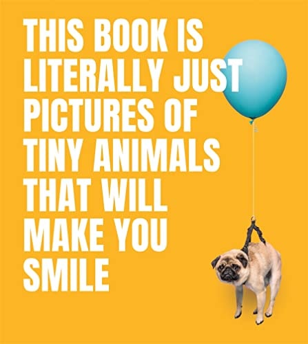 This Book Is Literally Just Pictures...