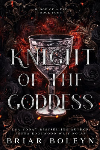 Knight of the Goddess A Dark Fae Fantasy Romance