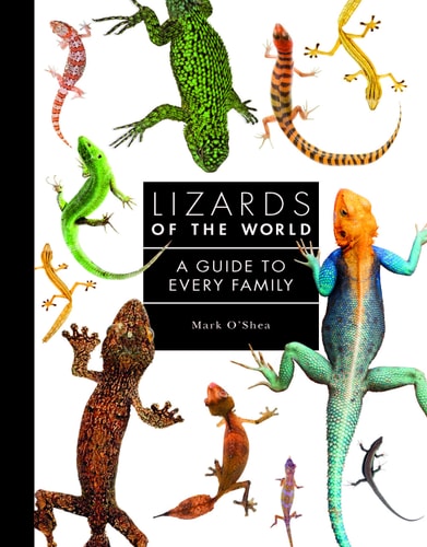 Lizards of the World: A Guide to Every Family (A Guide to Every Family, 1)