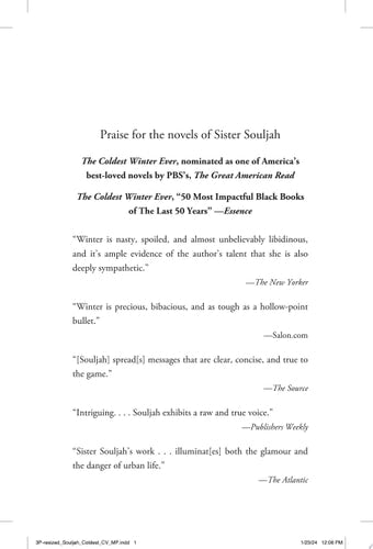 The Coldest Winter Ever A Novel