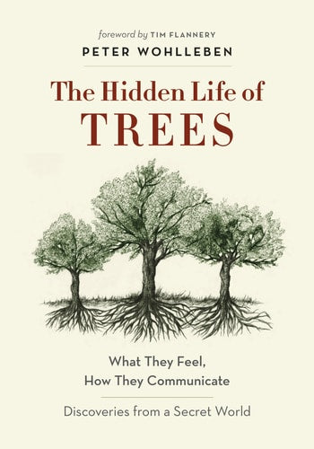 The Hidden Life of Trees: What They Feel, How They Communicate―Discoveries from A Secret World (The Mysteries of Nature, 1)