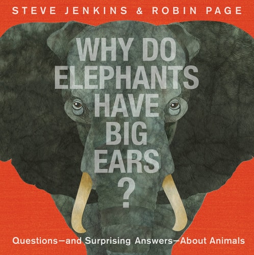 Why Do Elephants Have Big Ears?...