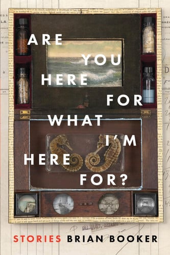 Are You Here for what I'm Here For?