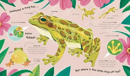 Watch Me Grow: Frogs
