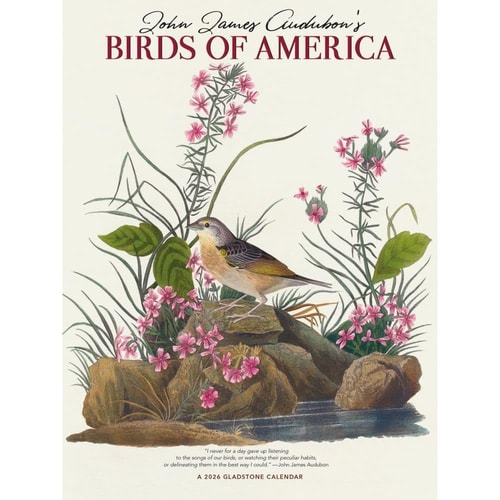 Audubon's Birds of America DLX: 9x12 Narrow Wall