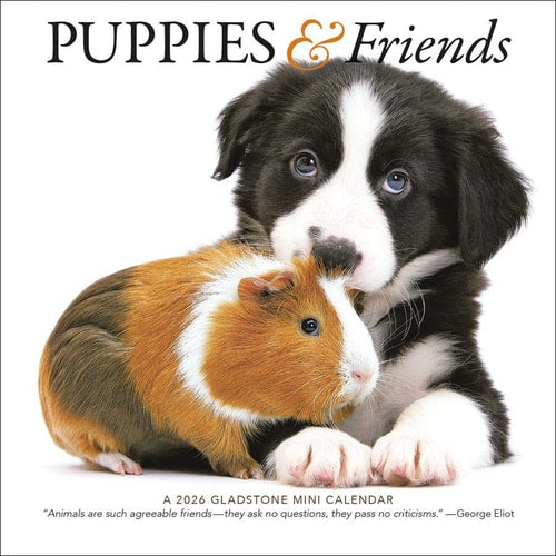 Puppies & Friends: 7x7 Mini